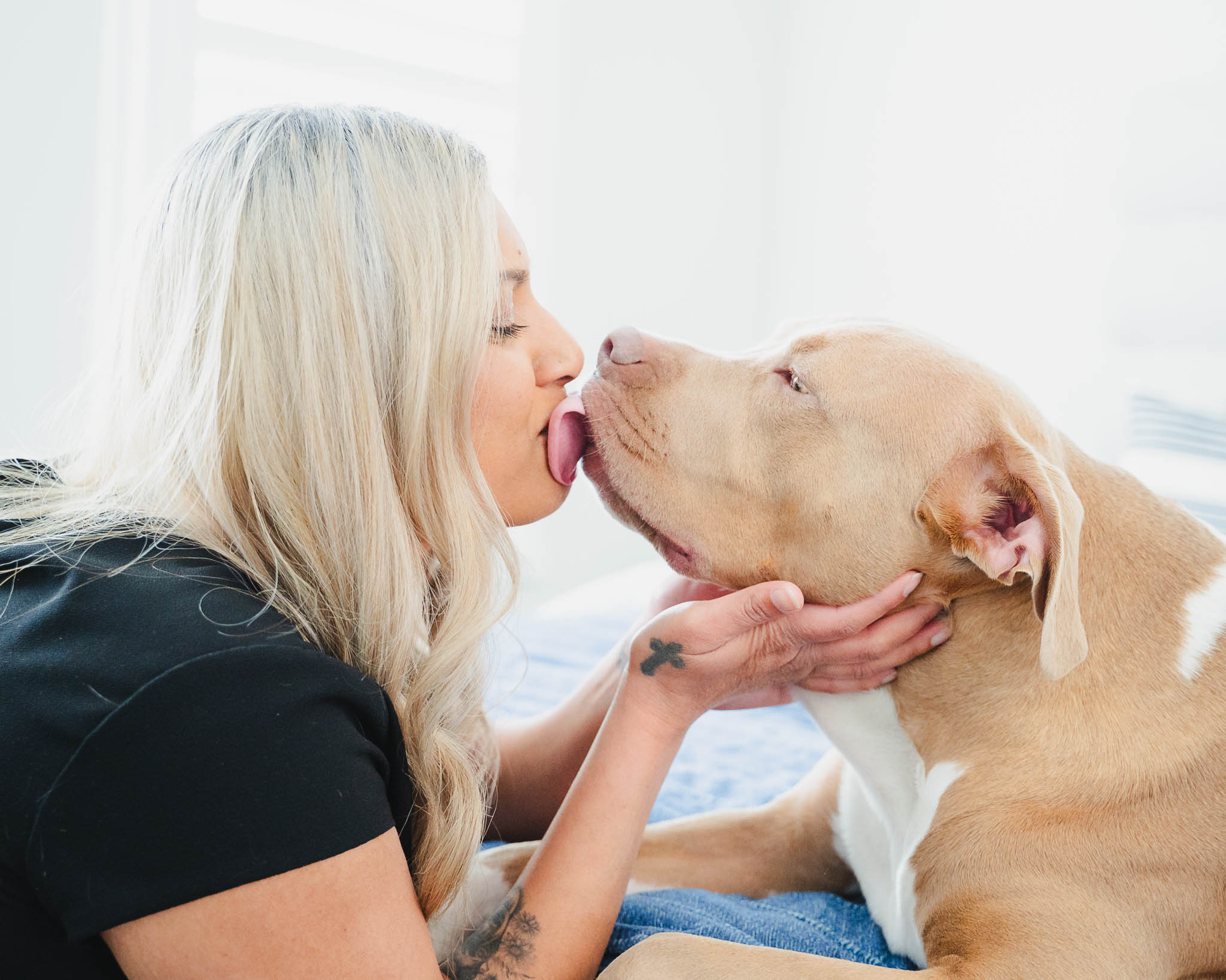 A beige pitbull dog kissing his mom while they cuddle on a bed